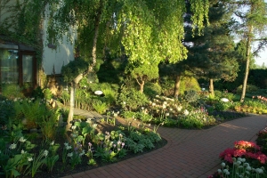 Ogród - zdjęcie 4