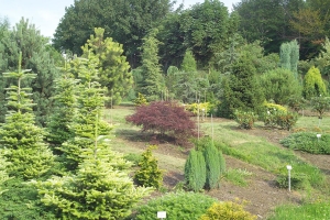 Ogród - zdjęcie 29