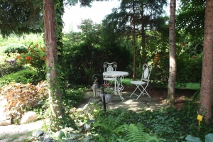 Ogród - zdjęcie 37