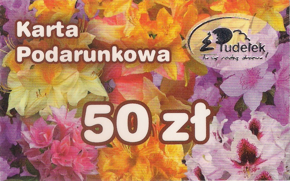 Karta+50